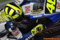 Valentino Rossi(the Doctor) 24126759