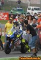 Valentino Rossi(the Doctor) 24126829