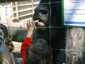 Tierpark HAAG 20036645