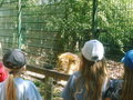 Tierpark HAAG 20036705