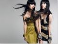 °°The Veronicas°° 65350031