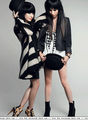 °°The Veronicas°° 65350045