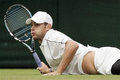 Andy Roddick 19585201