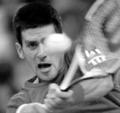 novak djokovic 29546717