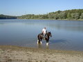 Wanderreiten Wallsee Sep. 2006 16174882