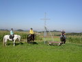 Wanderreiten Wallsee Sep. 2006 16174958