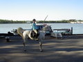 Wanderreiten Wallsee Sep. 2006 16175443