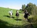 Wanderreiten Wallsee Sep. 2006 16175468