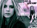 Arvil Lavigne 7282178