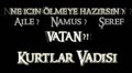 ***KURTLAR VADISI*** 23785703