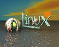 WINDOWS & LINUX 52397563