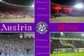 fk austria wien!! 13755545