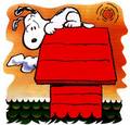 Snoopy!!! 7252288