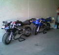 Mein HOBBY!Mein BIKE!!! 9551228