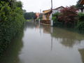 Hochwasser 2009 62315457