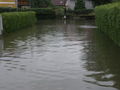 Hochwasser 2009 62316008