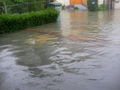 Hochwasser 2009 62316402