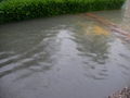Hochwasser 2009 62316432