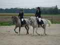 Dressurquadrille am Reiterfest 67207890