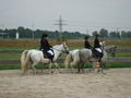 Dressurquadrille am Reiterfest 67209033