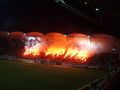 SK RAPID WIEN 67784135