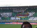 SK RAPID WIEN 67784150