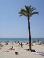 Urlaub auf Mallorca mit Desi bei Daniel 6781170