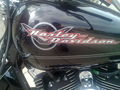 Harley Davidson treffen ! 66856418