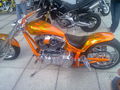 Harley Davidson treffen ! 66856463