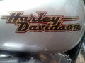 Harley Davidson treffen ! 66856843