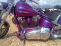 Harley Davidson treffen ! 66863577