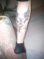 Meine Tattoo`s 72137280