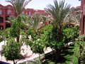 Sharm El Shelkh 2007 23048144