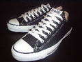 ConVerSE 5872336