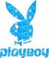 Playboy 15446277