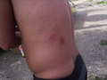 Paintball 25120415