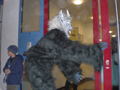 Krampustag 2007 30968140