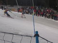 Nachtslalom Schladming 14744600