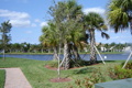 Florida 2008 35942197