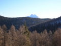 Dümlerhütte - Rote Wand 28.12 13063795