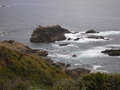 Big Sur/ Highway 1, California 21466738