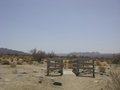 Joshua Tree National Park, California 24198675