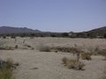 Joshua Tree National Park, California 24199658