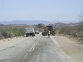 Joshua Tree National Park, California 24200757