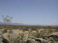 Joshua Tree National Park, California 24200876