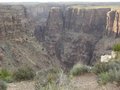 Grand Canyon, Arizona 24751033