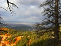 Bryce Canyon, Utah 25008678