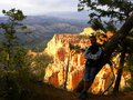 Bryce Canyon, Utah 25008828