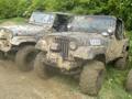 Jeepin´ USA..... 32942156