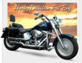 Harleys... 32977451